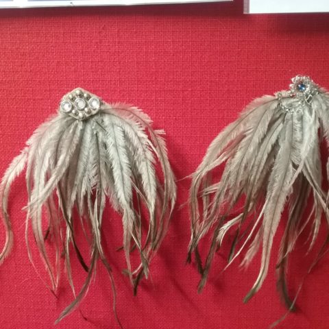 Emu feathers