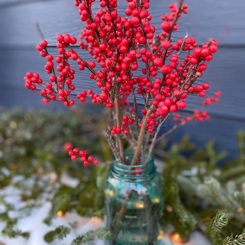 red berry winter decorations