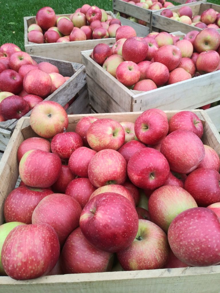for apple instal Farming 2020 for apple instal Farming 2020