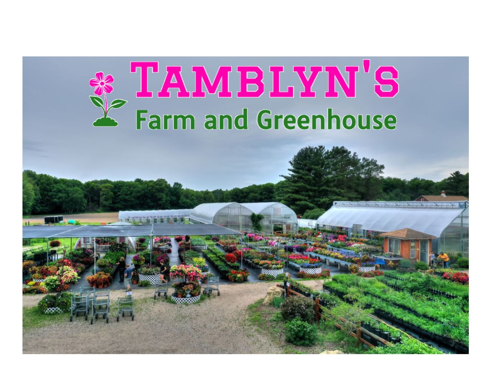 Tamblyn 8217 S Farm And Greenhouse Minnesota Grown Tamblyn 8217 S Farm And Greenhouse