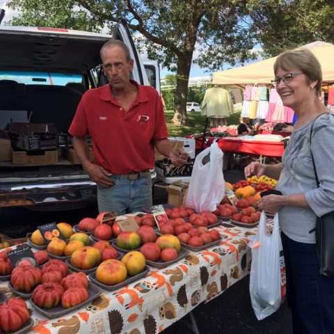 tomato vendor