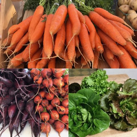 collage of carrots, beets, and green lettuce