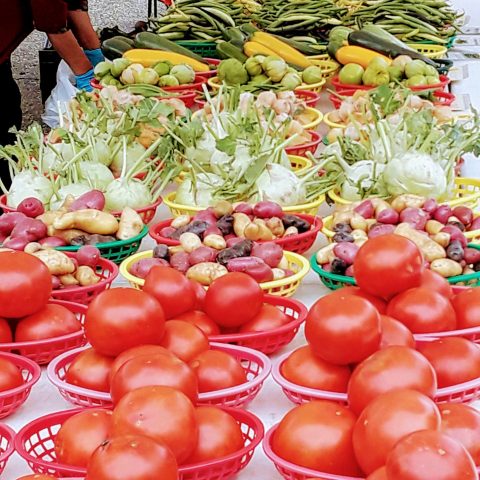 Table of tomatoes and mixed vegetables