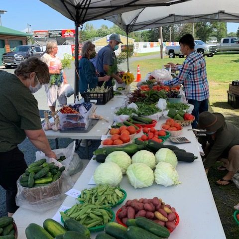 Pine City Farmers Market mixed vegetable stand