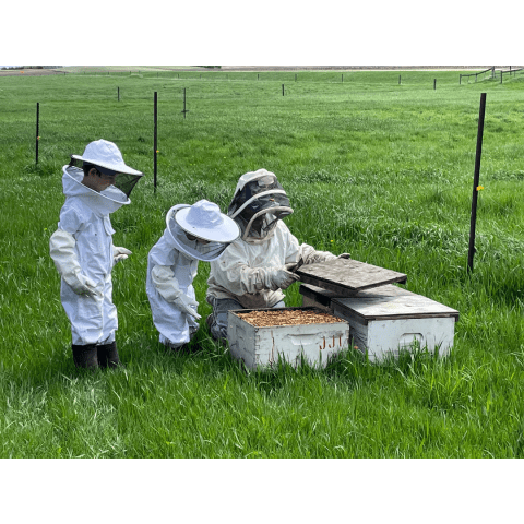 Young beekeepers opening hive