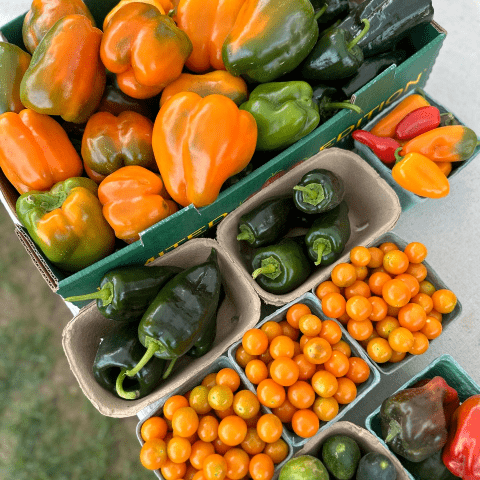 Picture of baskets of yellow and green peppers, jalapeno peppers, yellow cherry tomatoes, and small cucumbers.