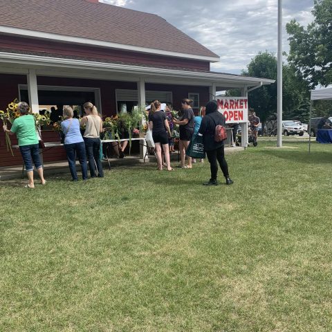 Picture of farmers market stands outside in the grass with people standing in front of them.