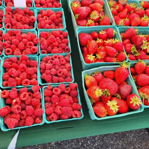 Blue plastic baskets filled with bright red raspberries and strawberries.