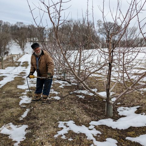 Picture of a person pruning or spraying a tree in the winter. There is a little snow on the ground and the trees do not have any leaves.