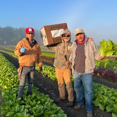 Picture of 3 people standing in a field with rows of greens. There is mist in the blue sky in the background.