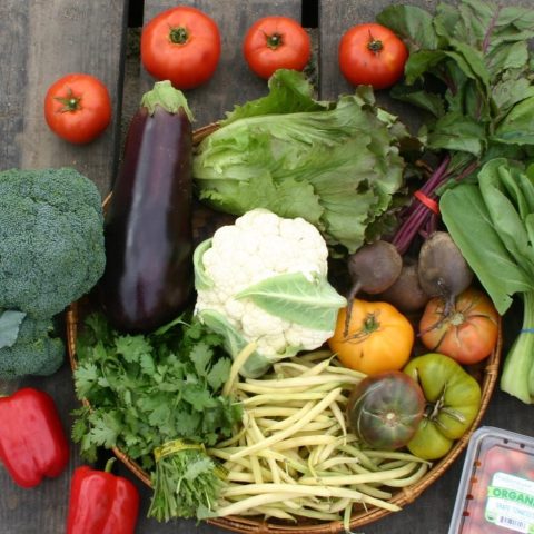 Picture of a table with fresh produce displayed. There are tomatoes, crowns of broccoli, eggplant, lettuse, cauliflower, cilantro, red and gree bell peppers, white beans, beets, and kale.