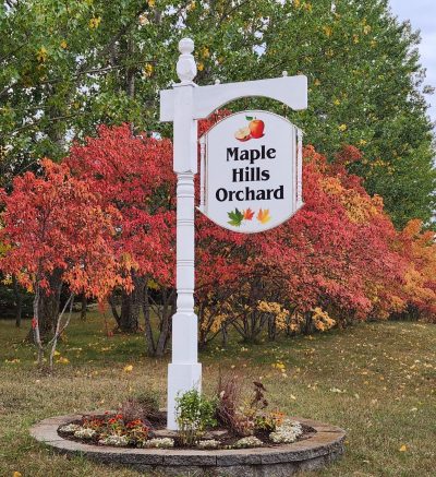 Picture of a sign that says "Maple Hills Orchard" against a backdrop of trees with orange/red and green leaves.