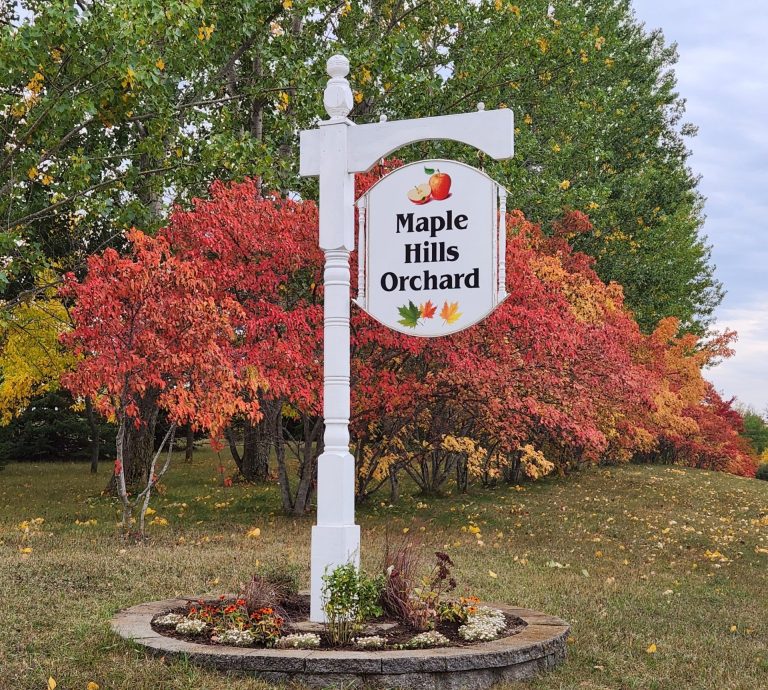 Picture of a sign that says "Maple Hills Orchard" against a backdrop of trees with orange/red and green leaves.