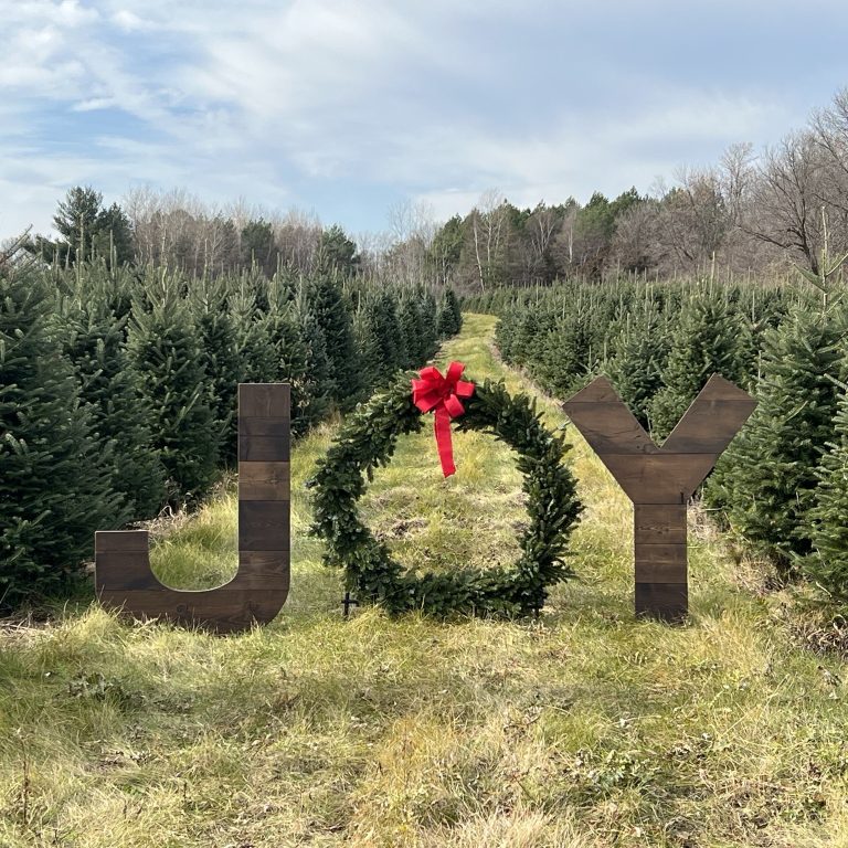 A Christmas tree field with a photo op of a wood stand saying "Joy".