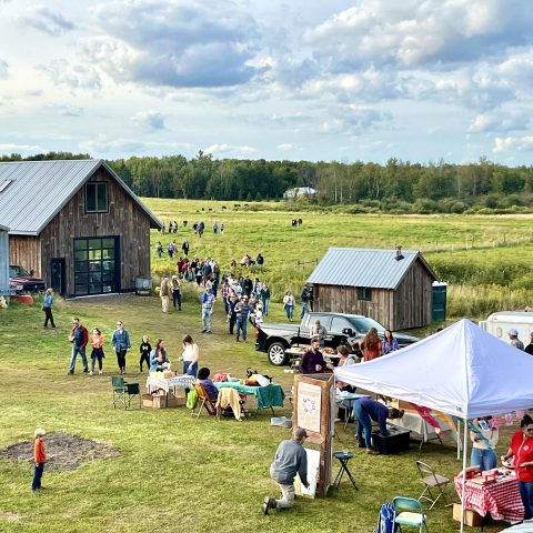 Picture of a crowd of people walking around and doing activities on a farm.