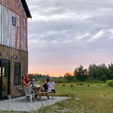 People sitting at a table outside of a barn with a sunset, green fields, and cows in the background.