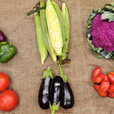 A picture of fresh product apart of their CSA share lying on a light brown cloth. There are three multi-colored peppers, three red tomatoes, three small purple eggplants, a few corn in their husks, a handful of red heirloom tomatoes, and one head of purple cauliflower.