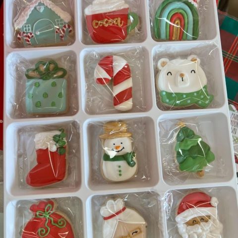 christmas cookies in pastic packaging