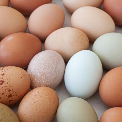 tan, white, and blue chicken eggs