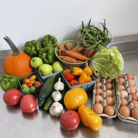 csa share pumpkin tomatoes cucumber garlic tomato eggs lettuce peppers apples green peppers carrots beans