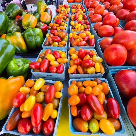 tomatoes and peppers in blue berry boxes on a table