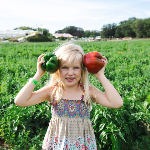 Girl holding up sweet bell peppers in the field