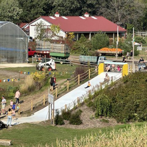 An aerial view of many of the activities found on Joyer Adventure Farm