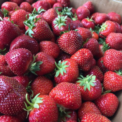 close up of strawberries