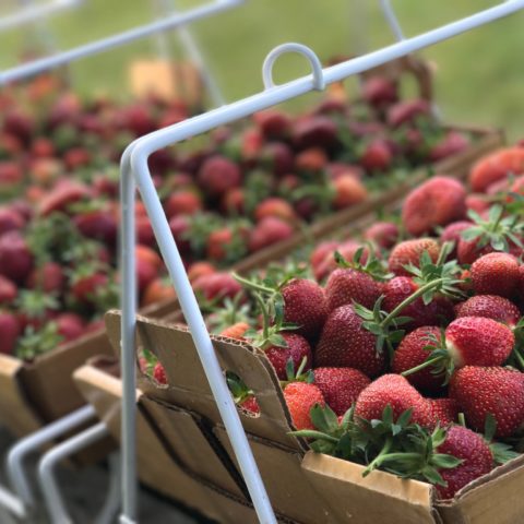 flats of strawberries