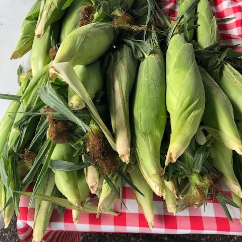Nice stack of sweet corn