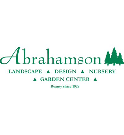 Abrahamson nursery logo