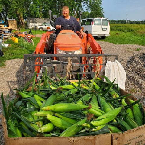 Farmer Ben with a tractor load of sweet corn