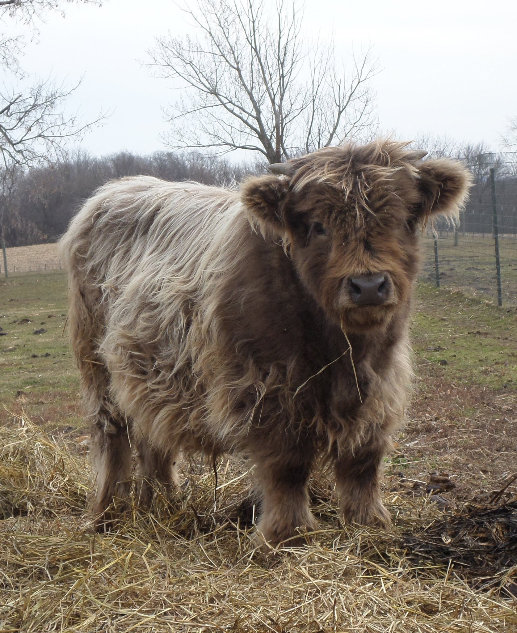 Locally Grown Road Trip Southeast Minnesota Minnesota Grown