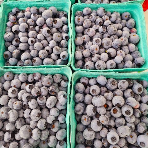 blueberries