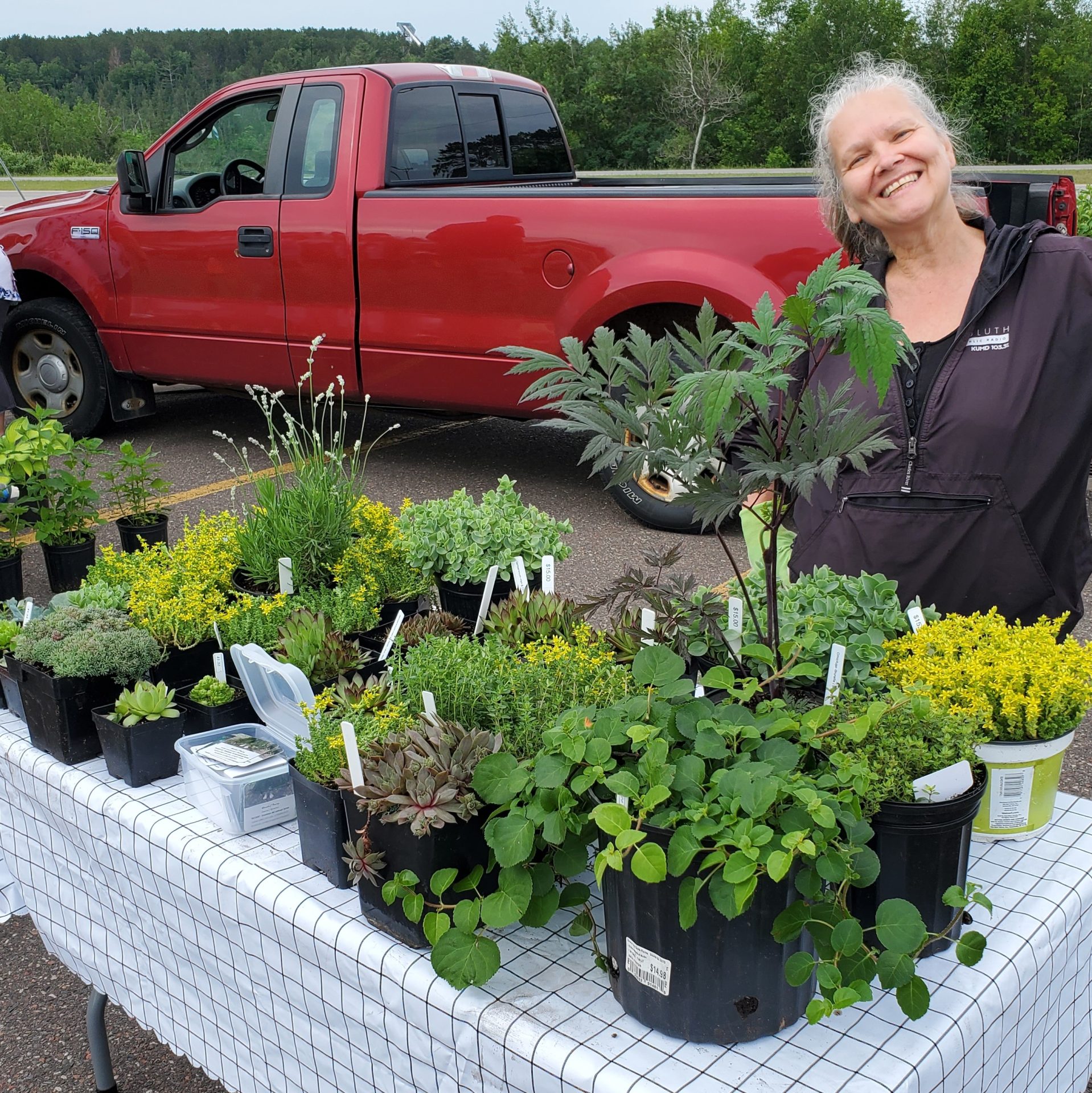 Carlton County Farmers Market Carlton Minnesota Grown