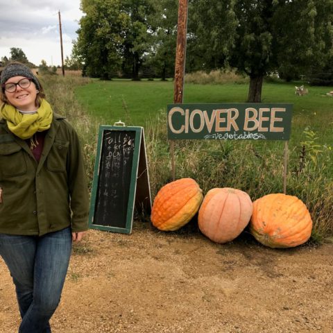 person standing in front of road sign with pumpkins behind