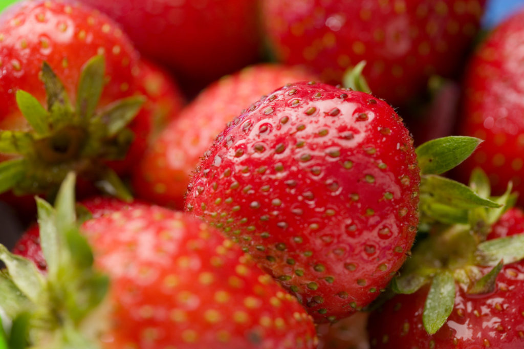 Stock Photo Strawberries (13) | Minnesota Grown