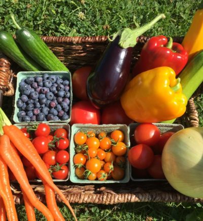 CSA share piled into a basket