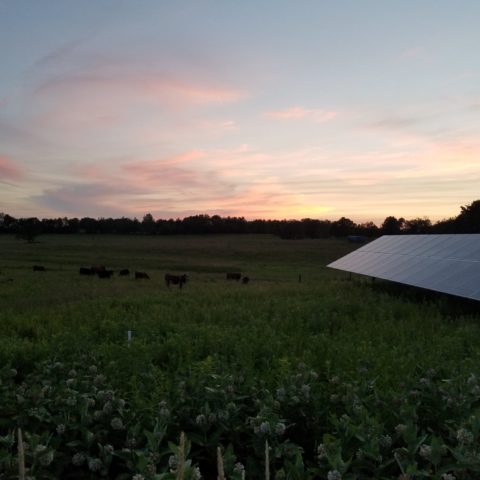 sunset behind poll barn and cow pasture