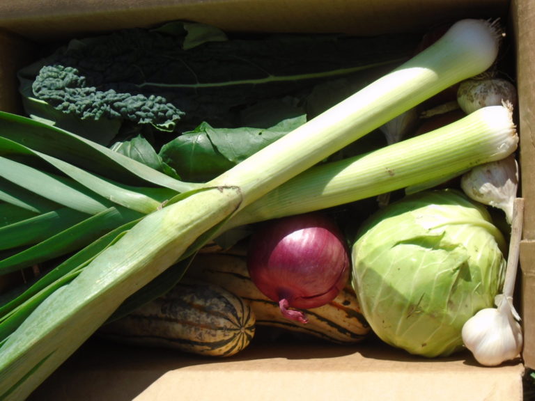 CSA box