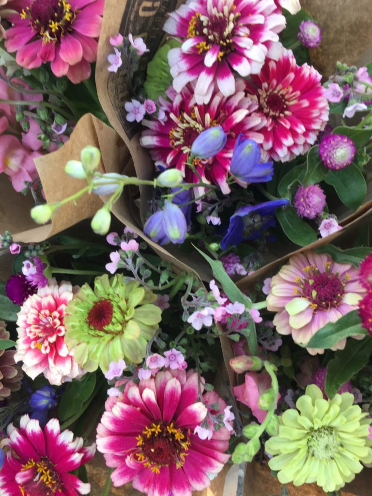 2019 06 03 Submitted Pluck Flower Farm pink flowers Minnesota Grown