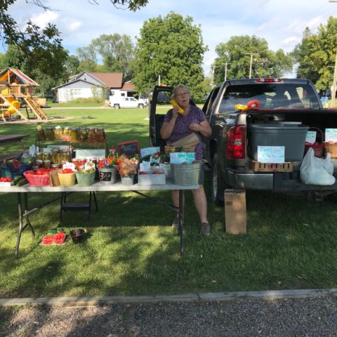 vendor selling vegetables