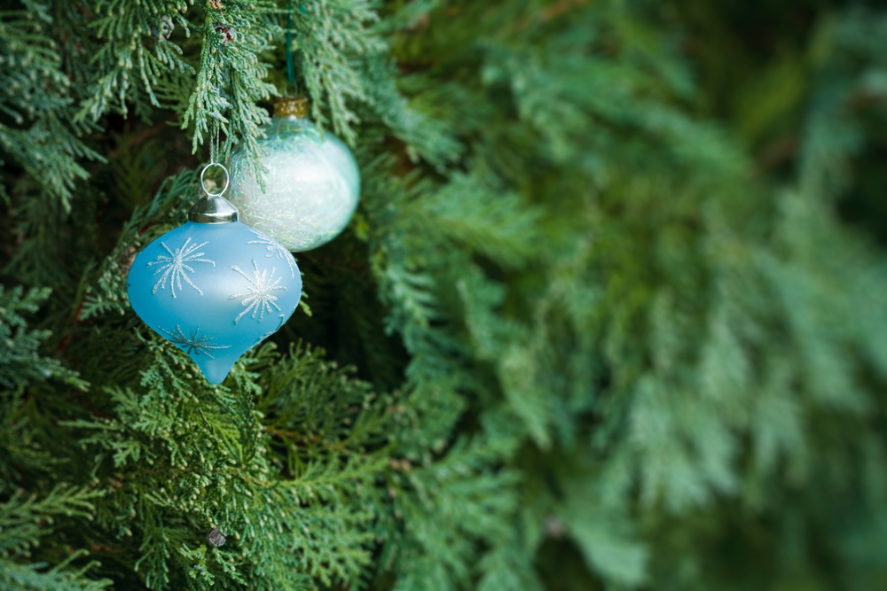 Stock Photos Christmas Tree and Evergreens ornament Minnesota Grown
