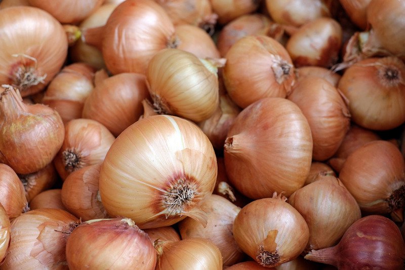 vidalia onions