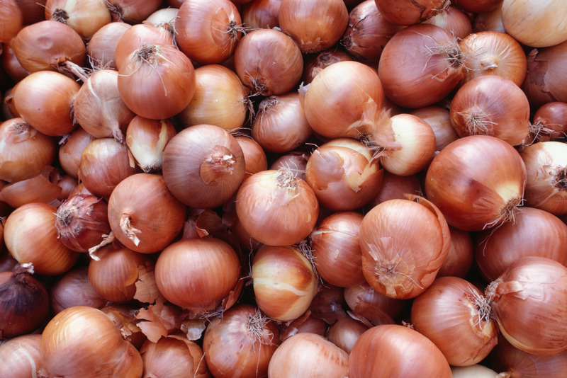 Onions, Israel 