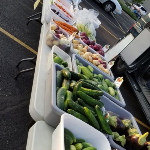 display of farm fresh vegetables at the market