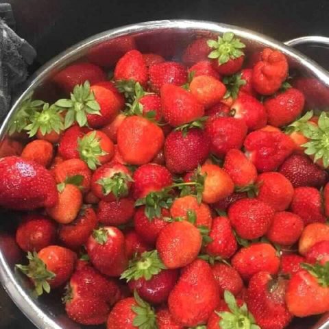 large bowl filled with freshly picked berries