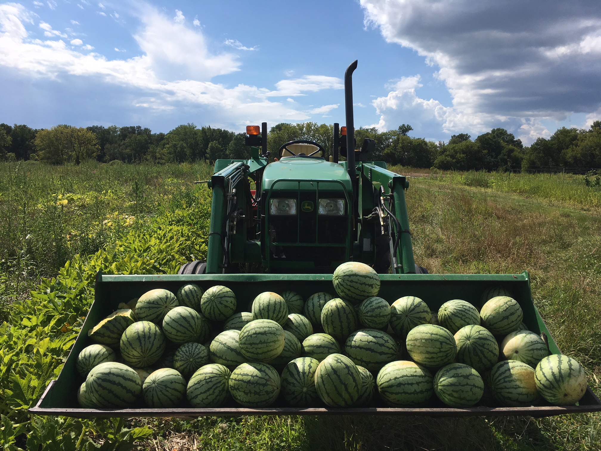 2018 02 15 Submitted Uproot Farms melons Minnesota Grown