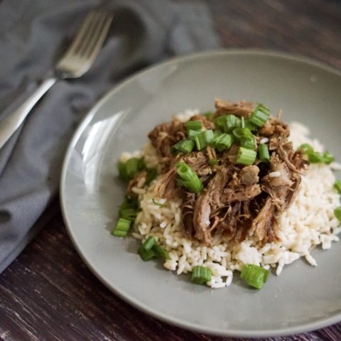 Adobo pulled pork dish over rice