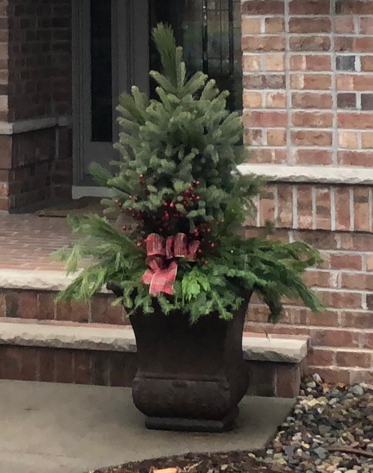 decorative pot with small pine tree and red bow